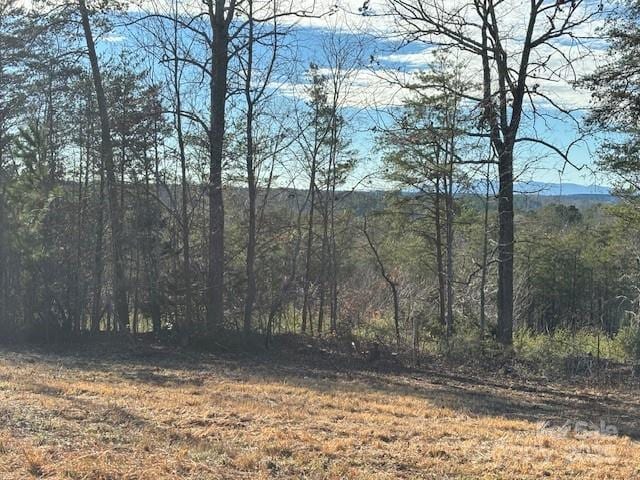 256 Honey Wagon Dr, Rutherfordton, NC 28139 - photo 48