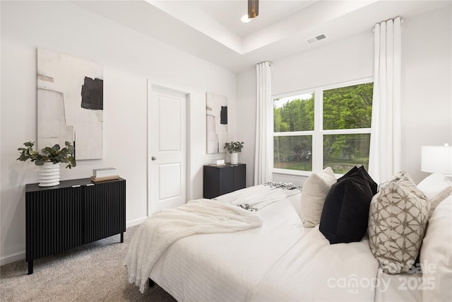 carpeted bedroom featuring a raised ceiling