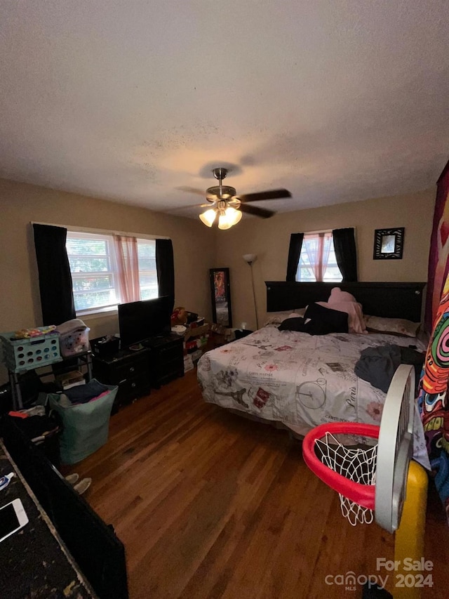 bedroom with multiple windows, ceiling fan, wood-type flooring, and a textured ceiling