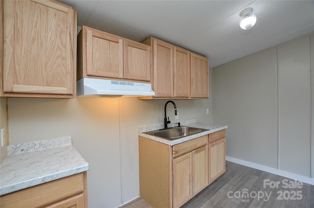 kitchen featuring dark wood-type flooring, sink, and light brown cabinets