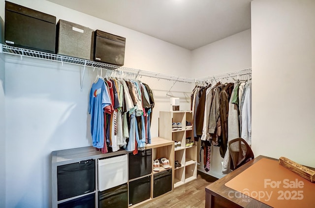 spacious closet featuring hardwood / wood-style flooring