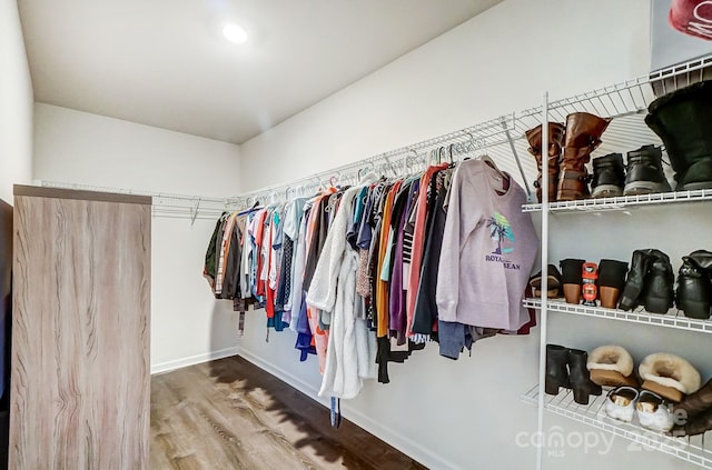 walk in closet featuring hardwood / wood-style flooring