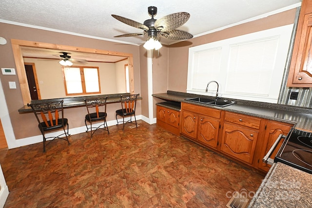 kitchen with ceiling fan, sink, crown molding, and a textured ceiling