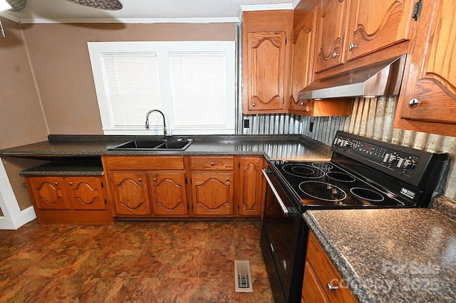 kitchen featuring sink, black electric range oven, ornamental molding, and ventilation hood