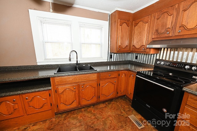 kitchen with black range with electric stovetop, crown molding, and sink