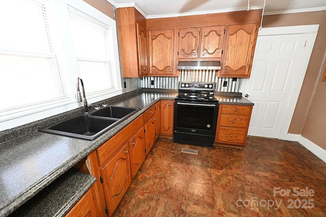 kitchen with electric range, ornamental molding, and sink