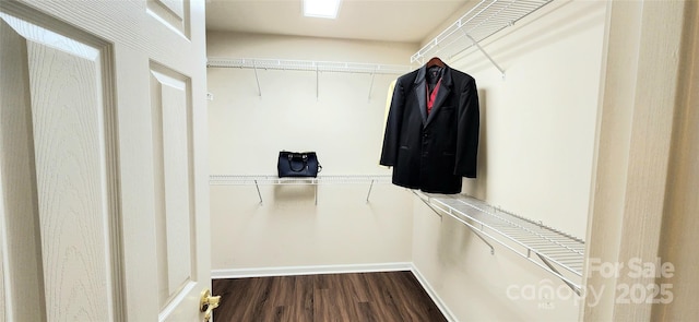 walk in closet with dark hardwood / wood-style flooring