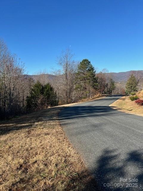 LOT28 Lake Adger Pkwy Unit 28, Mill Spring NC, 28756 land for sale