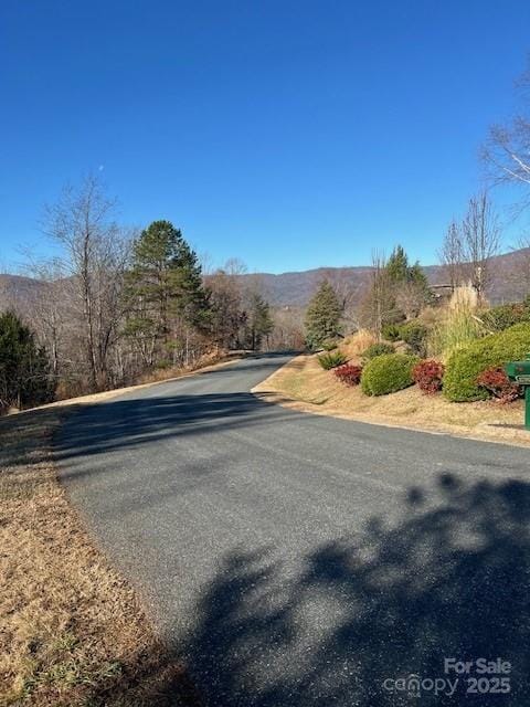 Listing photo 2 for LOT28 Lake Adger Pkwy Unit 28, Mill Spring NC 28756