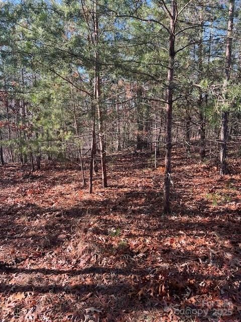 Listing photo 3 for LOT28 Lake Adger Pkwy Unit 28, Mill Spring NC 28756