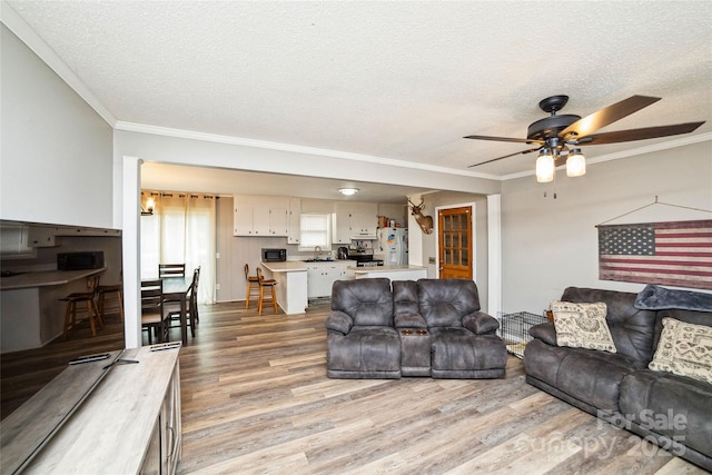 living room featuring light hardwood / wood-style floors, a textured ceiling, and ornamental molding