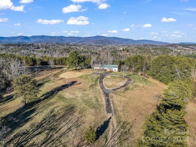 126 Cougar Rd, Casar, NC 28020 - photo 7
