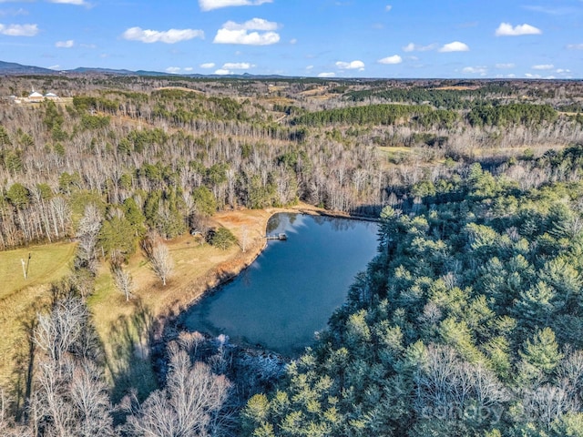 126 Cougar Rd, Casar, NC 28020 - photo 8