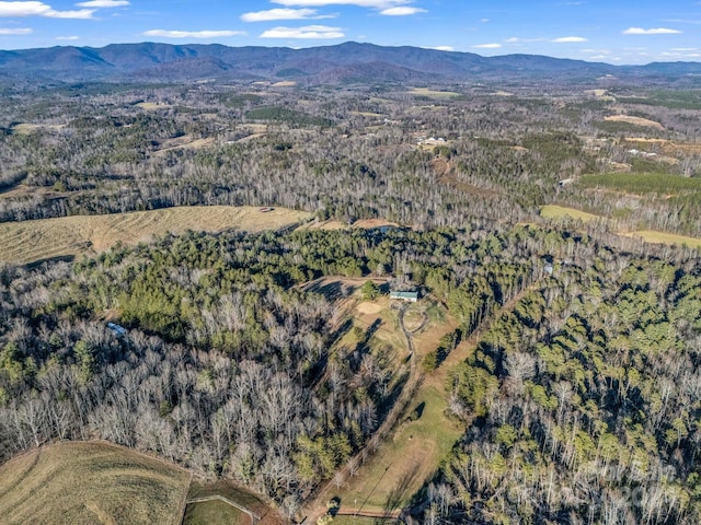 126 Cougar Rd, Casar, NC 28020 - photo 10