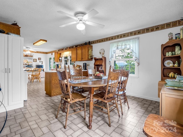126 Cougar Rd, Casar, NC 28020 - photo 25