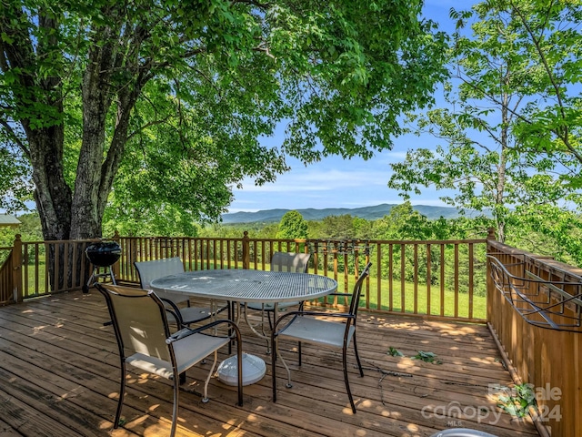 126 Cougar Rd, Casar, NC 28020 - photo 44