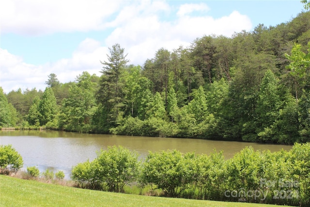 126 Cougar Rd, Casar, NC 28020 - photo 45