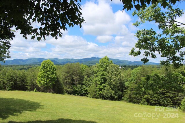 126 Cougar Rd, Casar, NC 28020 - photo 47