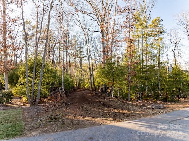 122 Upperfell Ct, Asheville NC, 28803 land for sale