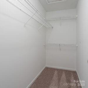 walk in closet with carpet