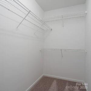 spacious closet featuring carpet