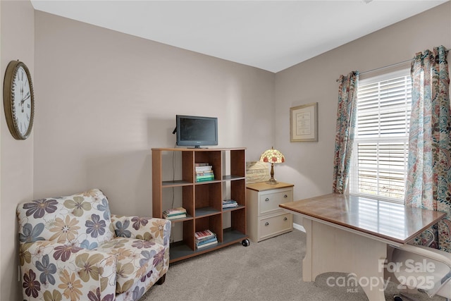 home office with light carpet and a wealth of natural light