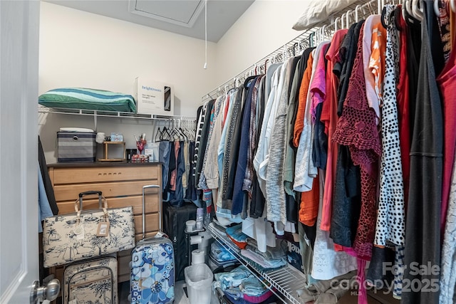 view of spacious closet