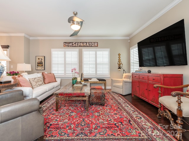 living room with dark hardwood / wood-style floors, a wealth of natural light, and ornamental molding