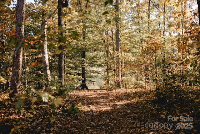 view of local wilderness