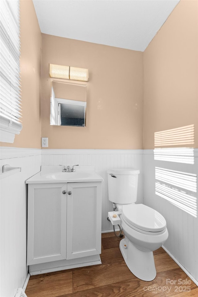 bathroom with vanity, toilet, a wealth of natural light, and hardwood / wood-style flooring