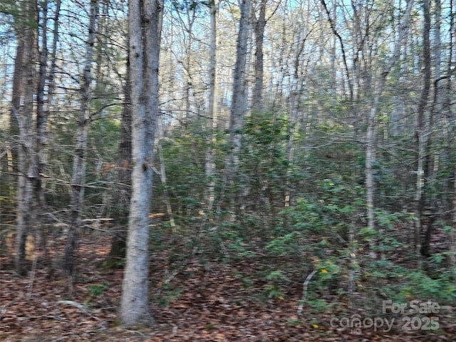 Listing photo 2 for 0 Roadrunner Cir Unit 33, Lake Lure NC 28746