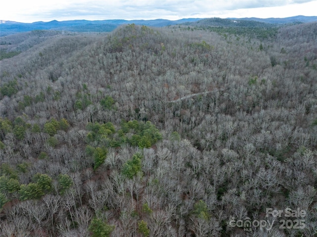 Listing photo 2 for 999 Cascade Lake Rd, Cedar Mountain NC 28718