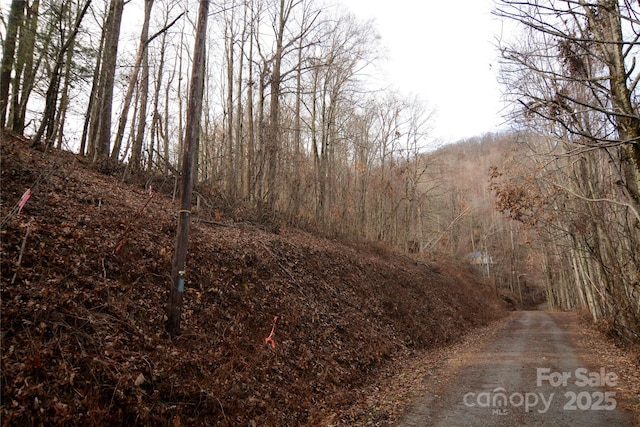 Listing photo 2 for 00 Jacks Knob Rd, Barnardsville NC 28709