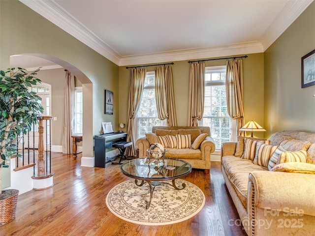 living area featuring hardwood / wood-style flooring and ornamental molding