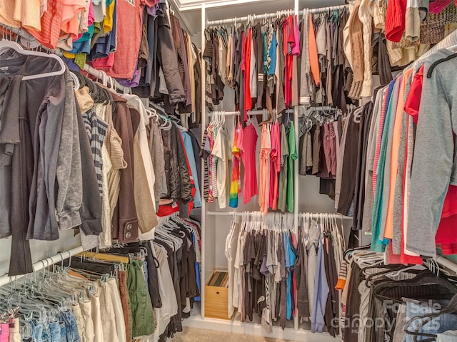 spacious closet with carpet