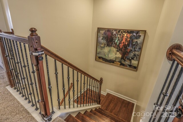 stairs with carpet flooring