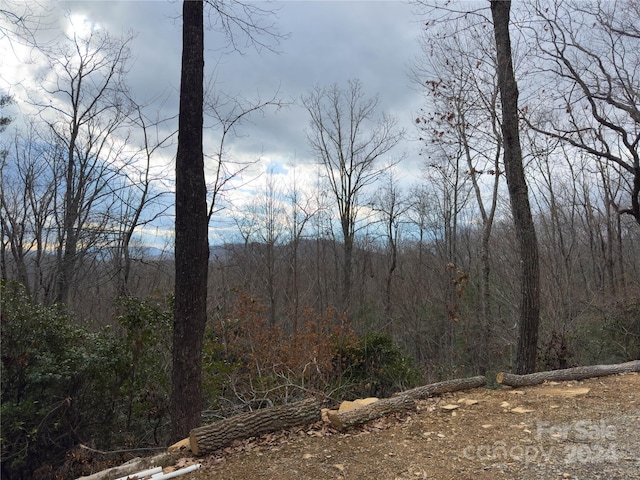 Listing photo 2 for 000 Humpback Mountain Rd, Spruce Pine NC 28777