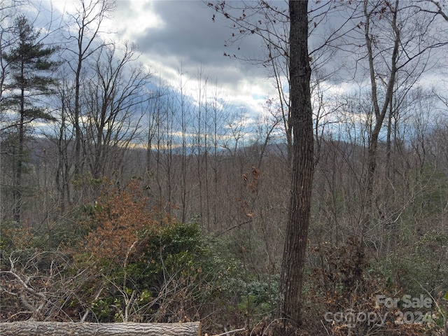 Listing photo 3 for 000 Humpback Mountain Rd, Spruce Pine NC 28777