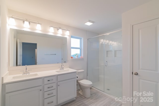 bathroom with toilet, a shower stall, double vanity, and a sink