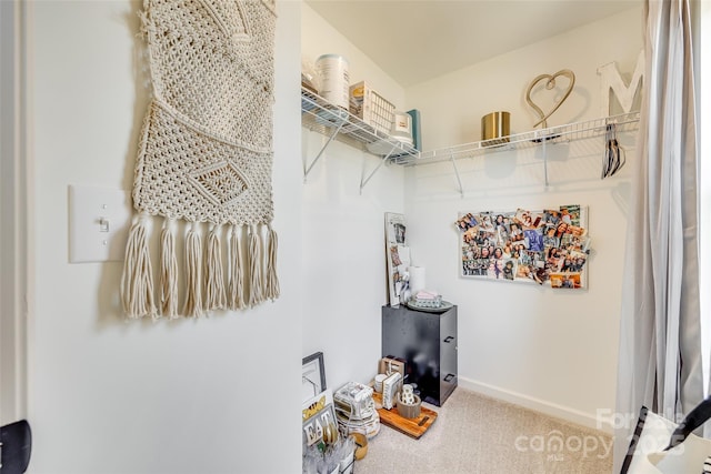 walk in closet featuring carpet flooring