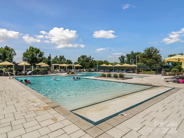 view of pool with a patio area