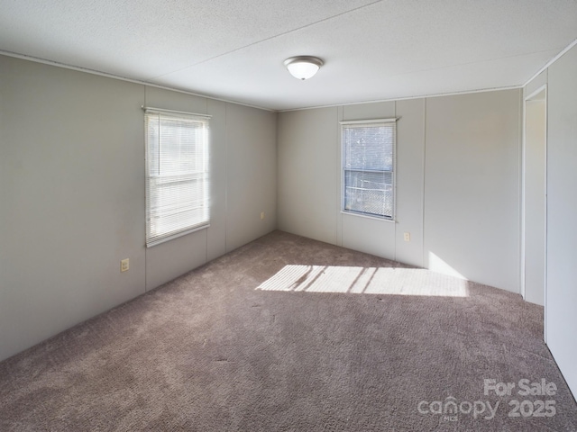 carpeted spare room with plenty of natural light and a textured ceiling