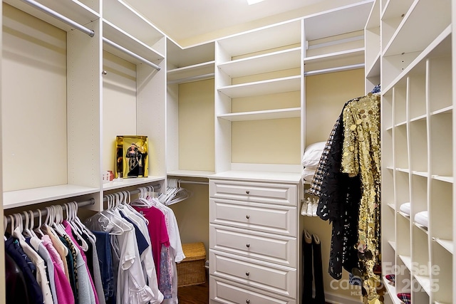 view of walk in closet