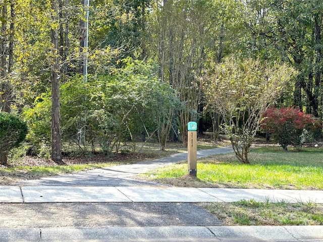 view of street