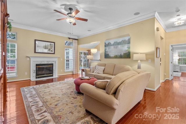 living room with crown molding, a fireplace, ceiling fan, and wood-type flooring