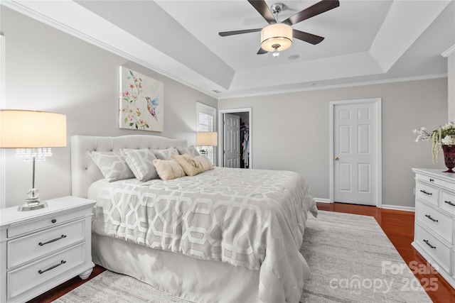 bedroom with a walk in closet, dark hardwood / wood-style flooring, a tray ceiling, and ceiling fan