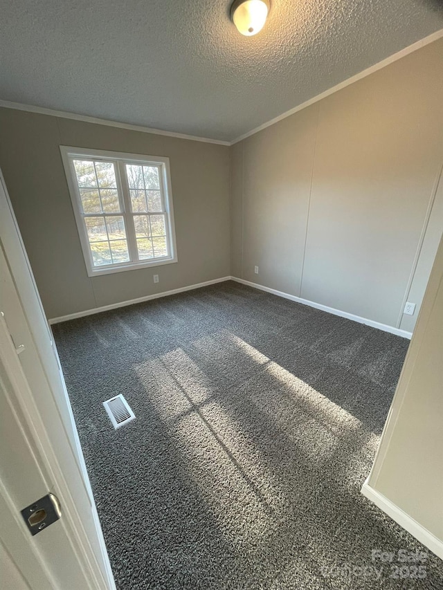 carpeted empty room featuring crown molding and a textured ceiling