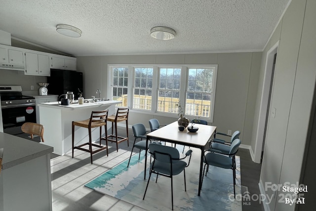 dining area with sink and lofted ceiling