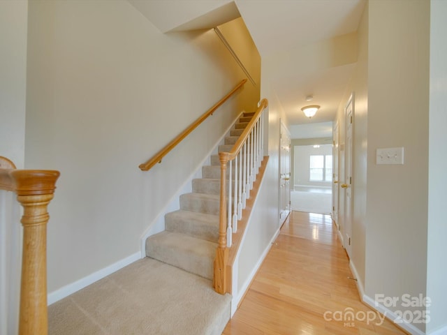 staircase with wood-type flooring