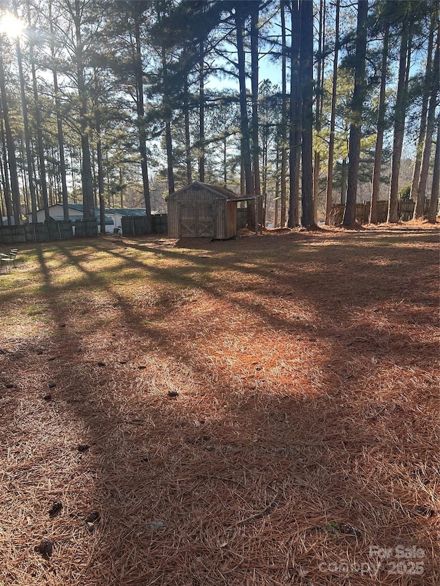 view of yard featuring a storage unit